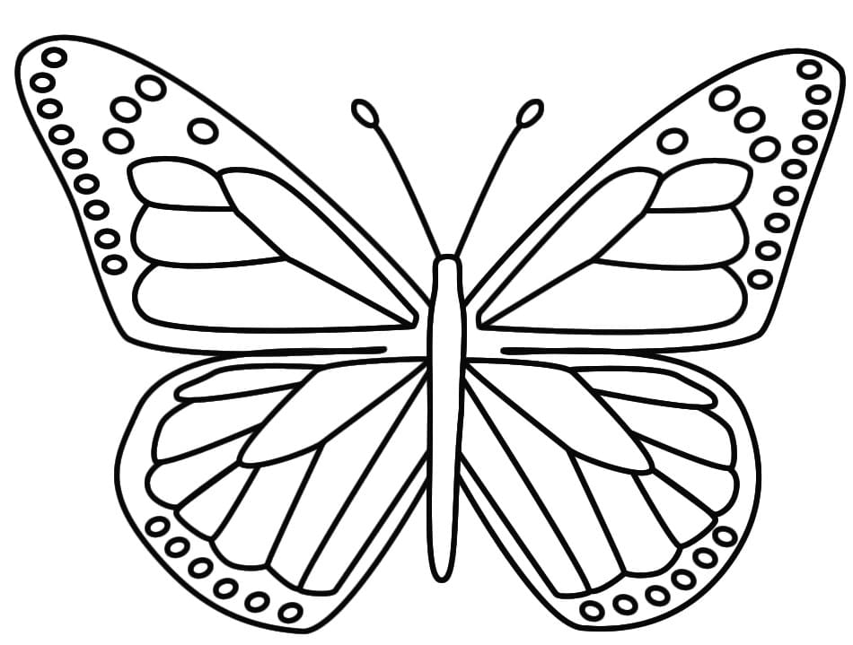 Butterfly 2