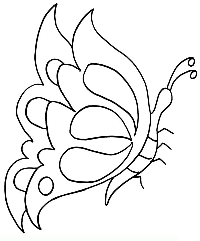 Butterfly 4 Coloring Game Butterfly 4