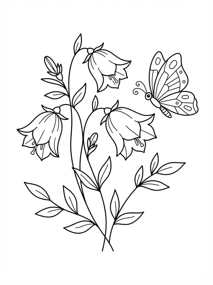Butterfly and Bellflower
