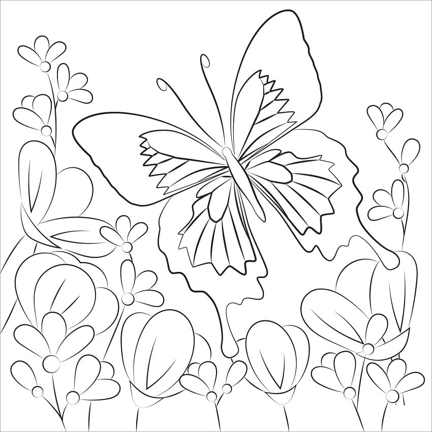 Butterfly in Flowers Garden Coloring Game Butterfly in Flowers Garden