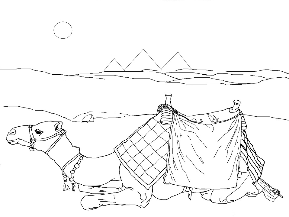 Camel in the Desert Coloring Game Camel in the Desert