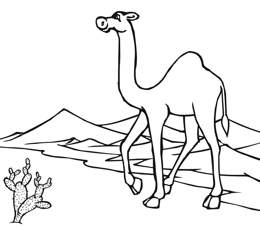 Camel on Desert Coloring Game Camel on Desert