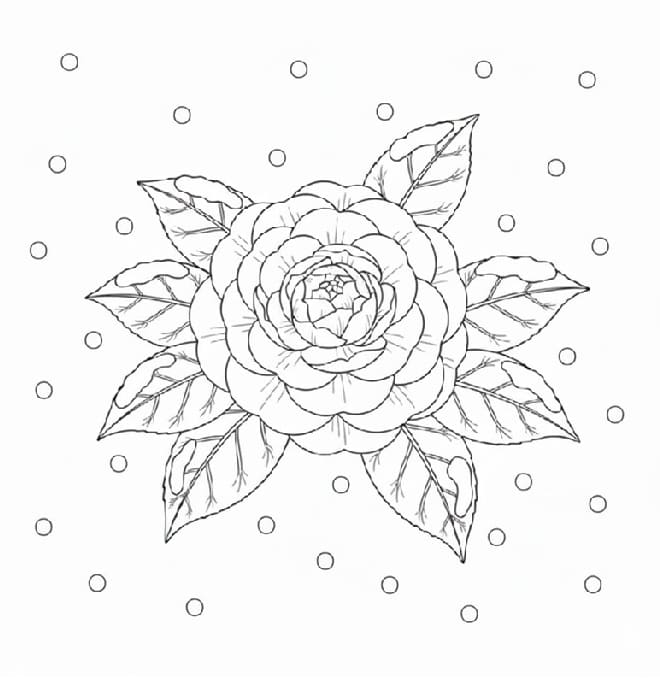 Camellia Greeting a Snowstorm