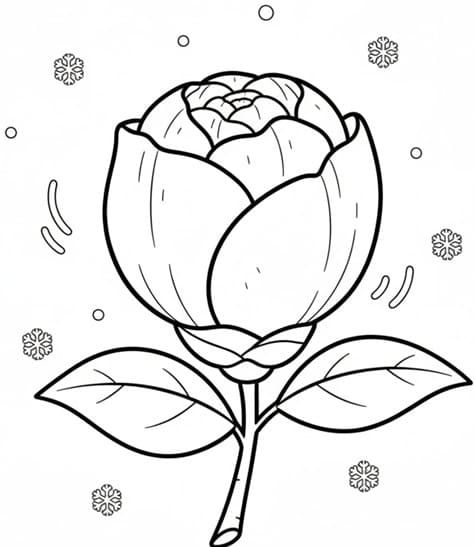 Camellia Huddling Against the Cold