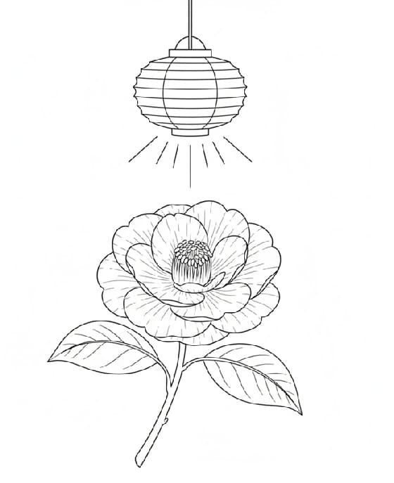 Camellia Under a Lantern's Glow