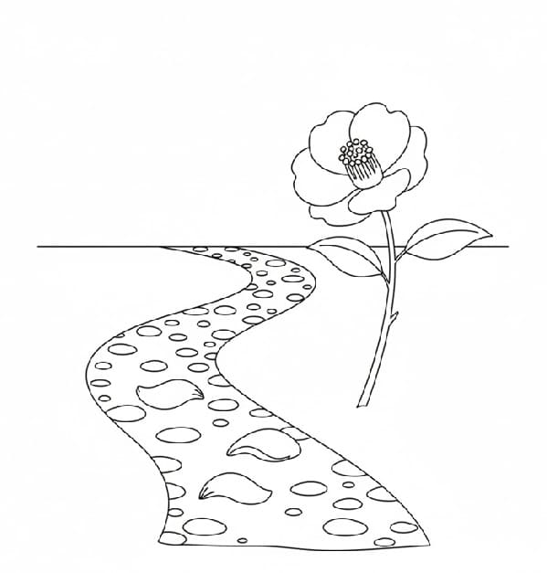 Camellia and a Pebble Pat