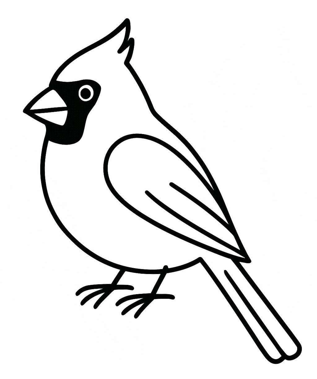 Cardinal Basic