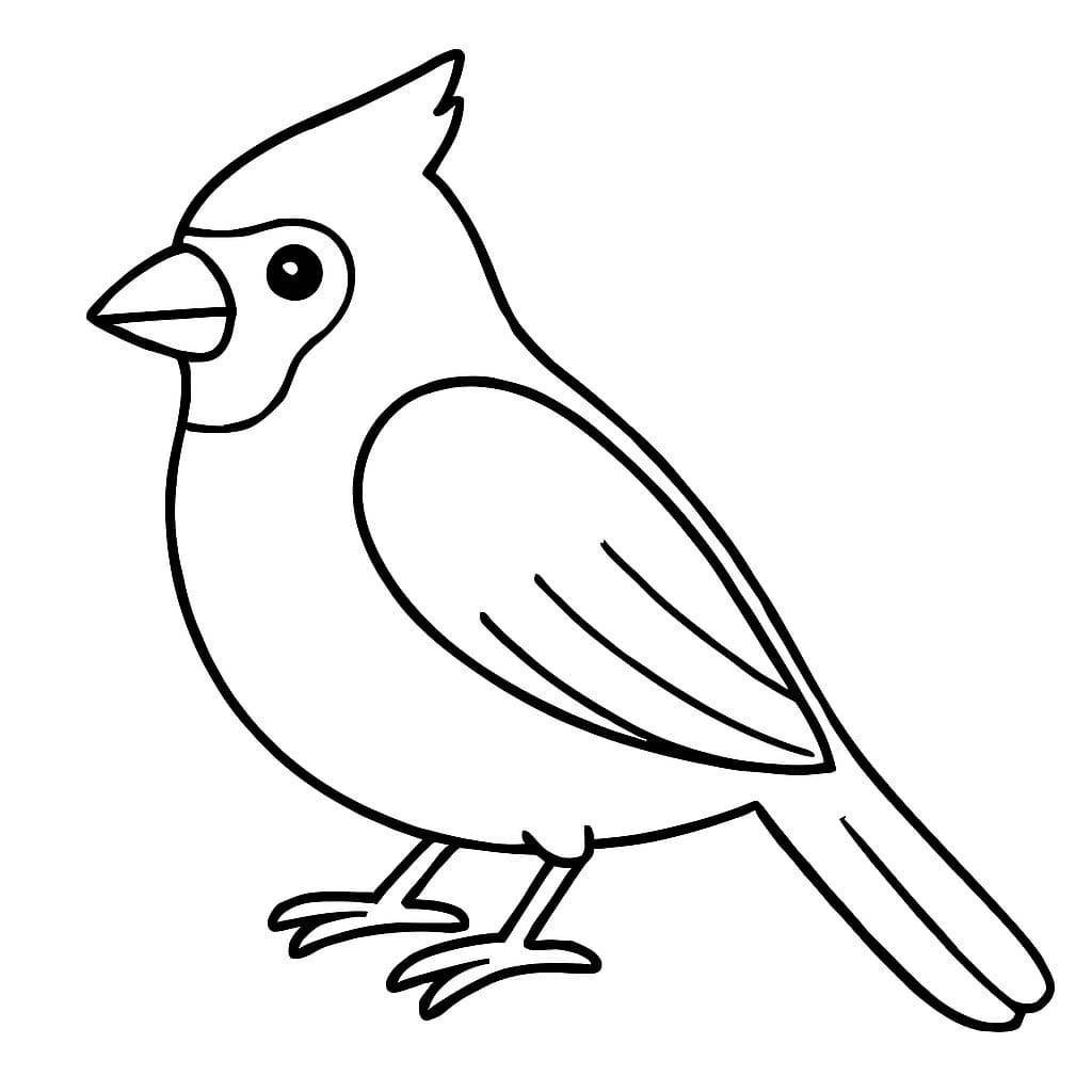 Cardinal Easy