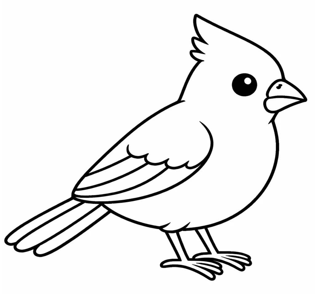Cardinal Simple