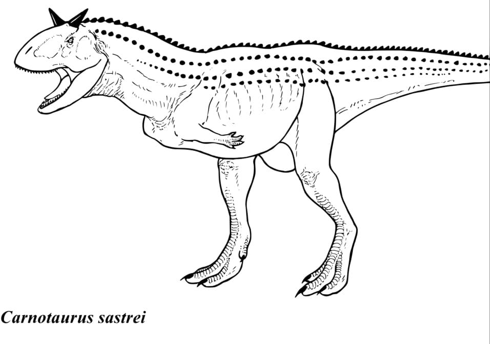 Carnotaurus Sastrei