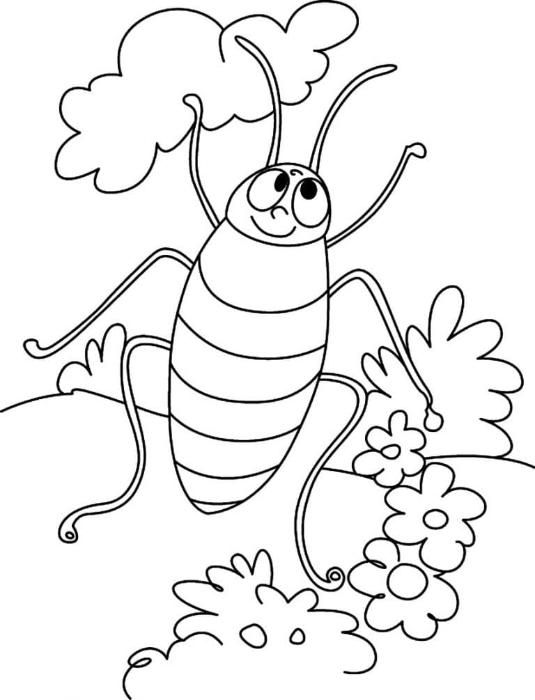 Cartoon Cockroach Coloring Game Cartoon Cockroach