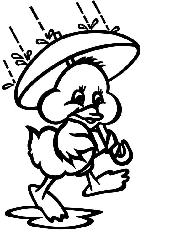 Cartoon Duck in Fall Rain