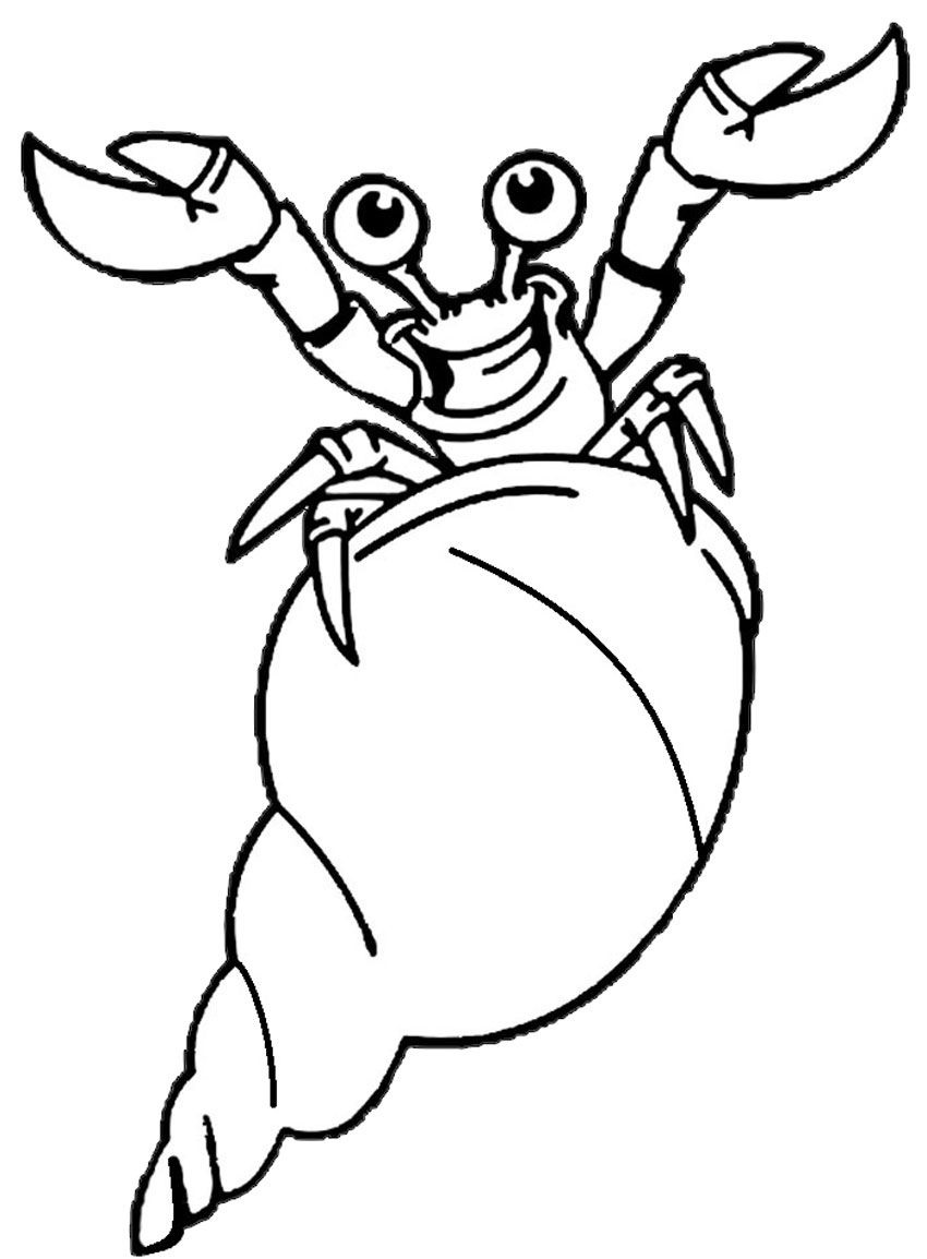 Cartoon Hermit Crab Coloring Game Cartoon Hermit Crab