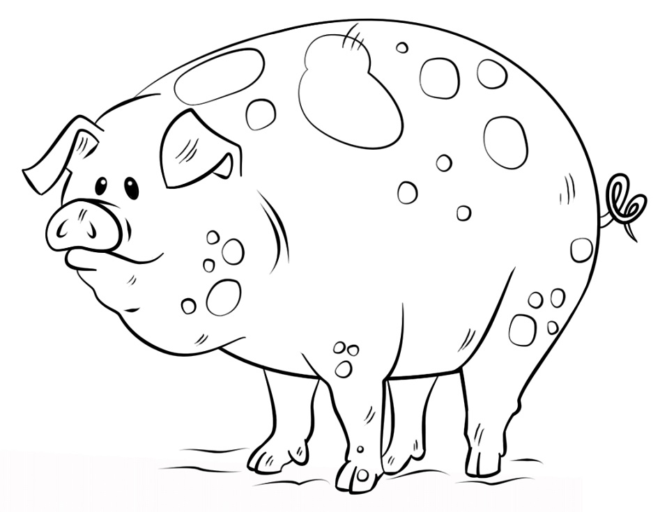 Cartoon Pig Coloring Game Cartoon Pig