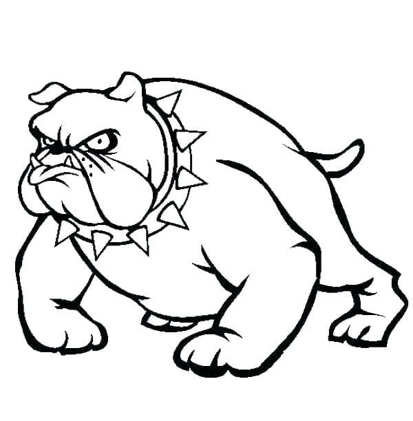 Cartoon Pitbull Coloring Game Cartoon Pitbull