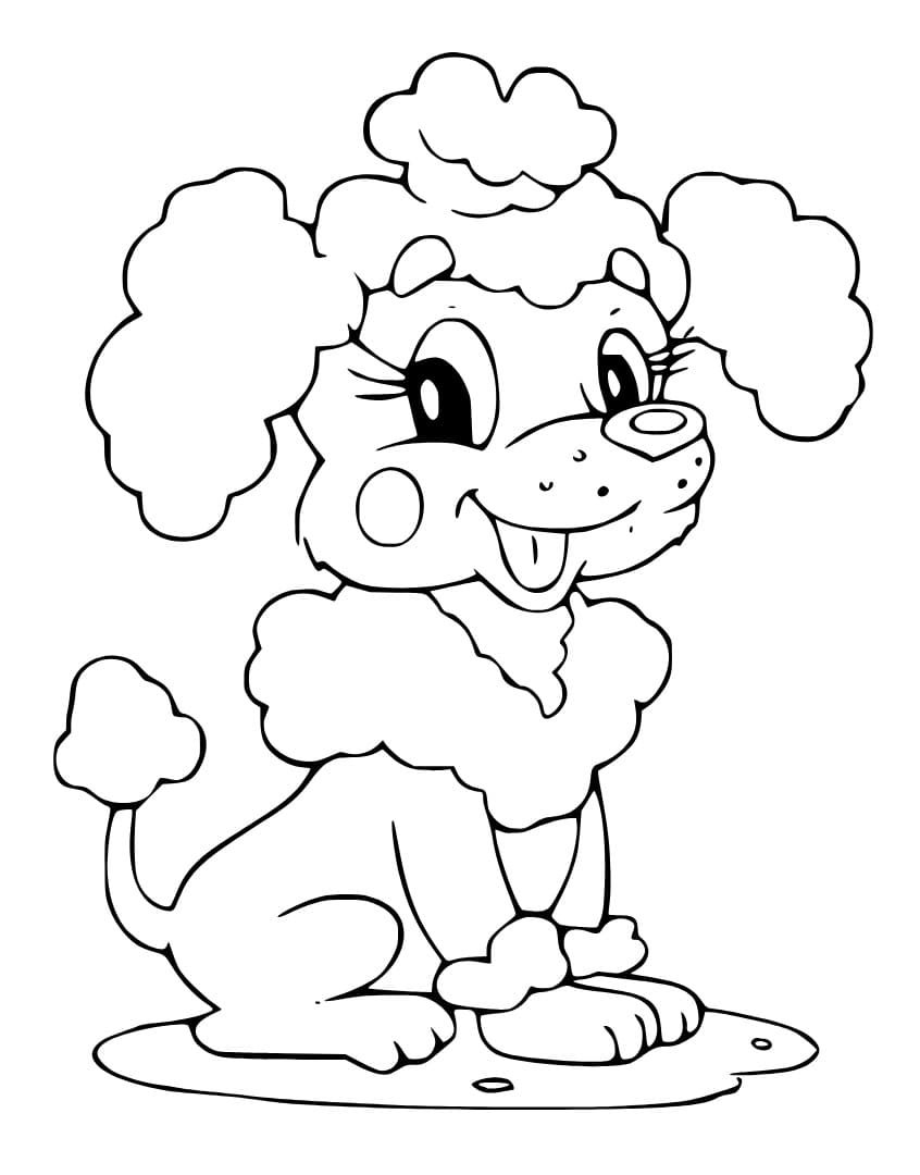Cartoon Poodle