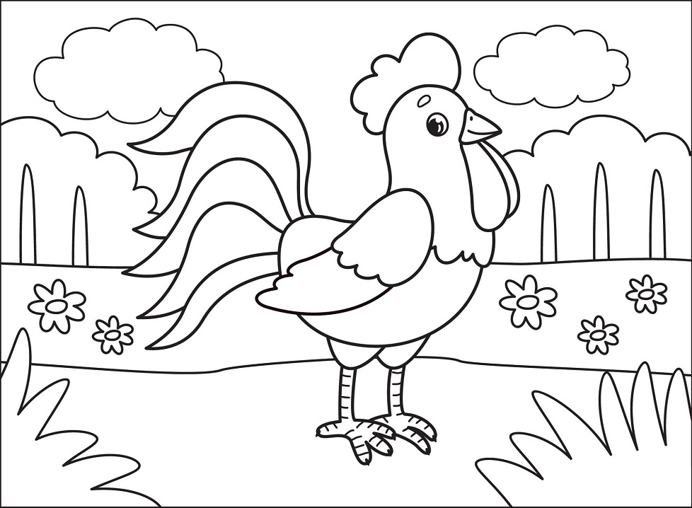 Cartoon Rooster