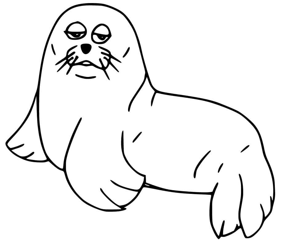 Cartoon Sea Lion Coloring Game Cartoon Sea Lion