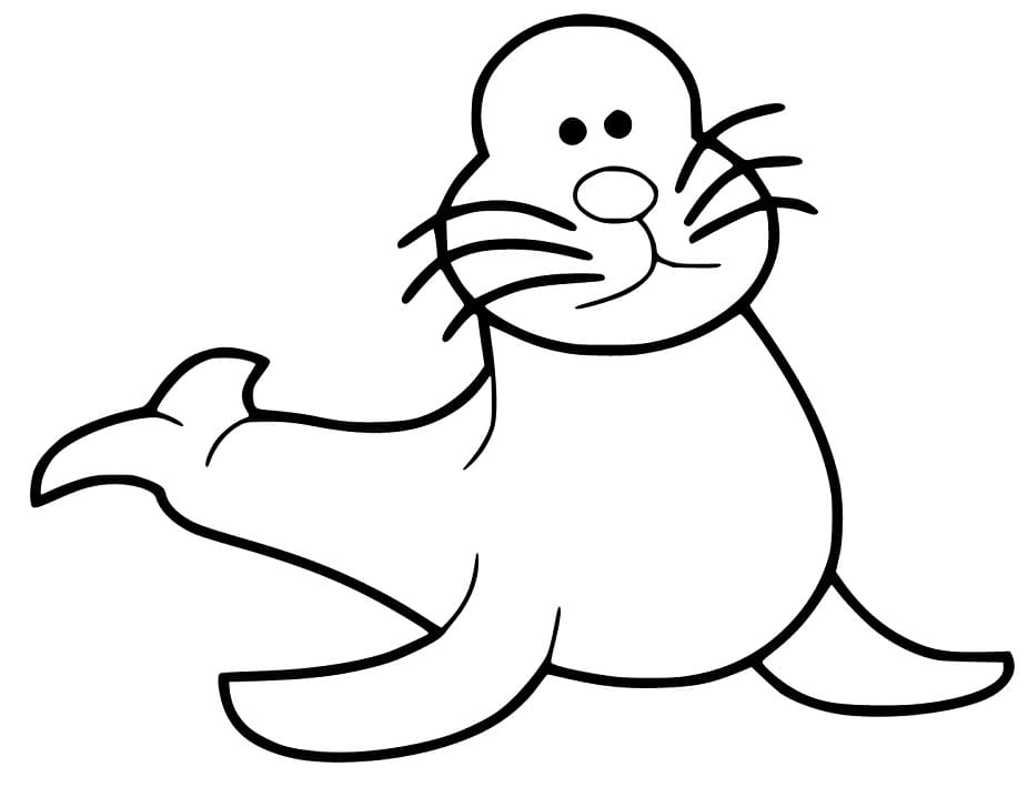 Cartoon Seal
