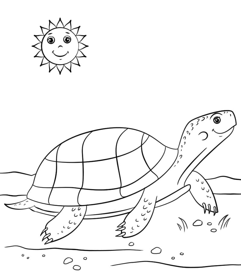 Cartoon Turtle and Sun Coloring Game Cartoon Turtle and Sun