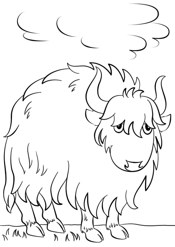 Cartoon Yak