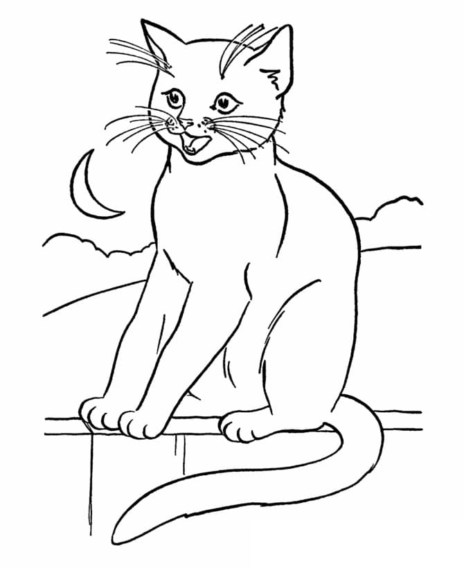 Cat Printable Coloring Game Cat Printable