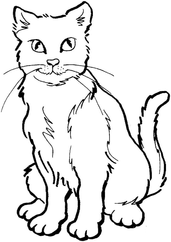 Cat Smiles Coloring Game Cat Smiles