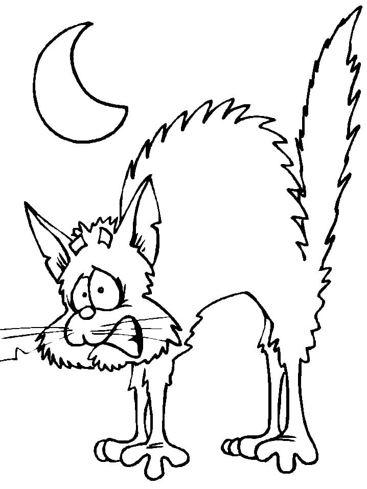 Cat is Scared Coloring Game Cat is Scared