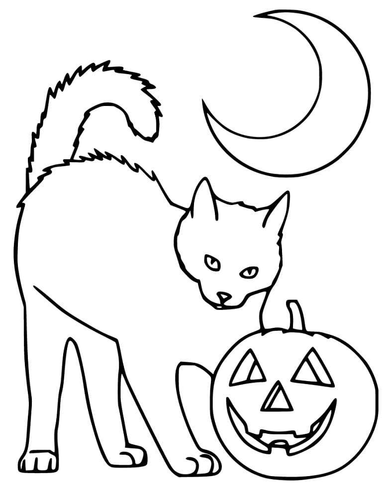 Cat with Pumpkin and Moon Coloring Game Cat with Pumpkin and Moon