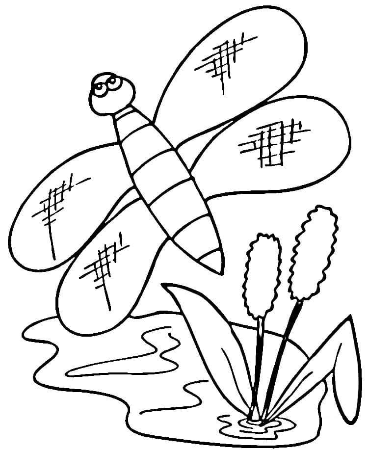 Cattails and Dragonfly Coloring Game Cattails and Dragonfly