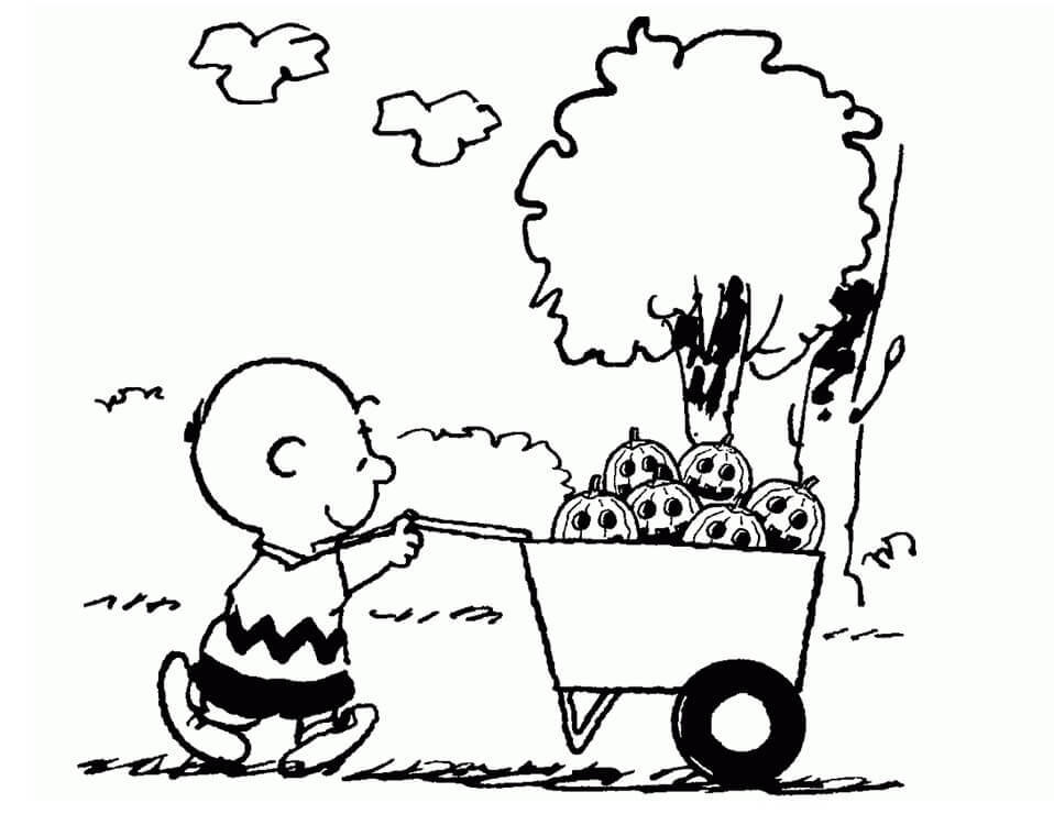 Charlie Brown and Pumpkins