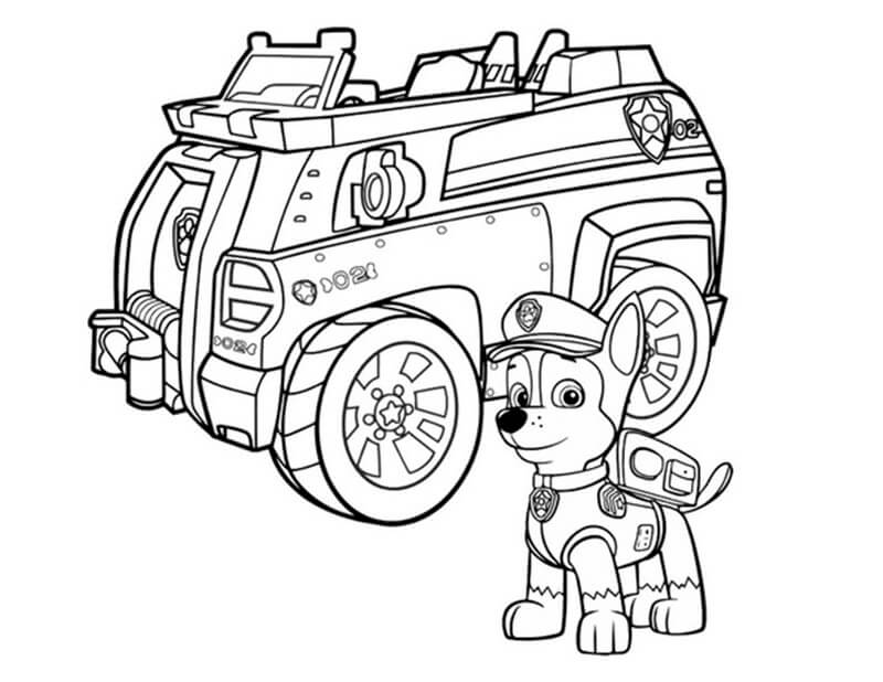 Chase Paw Patrol 12