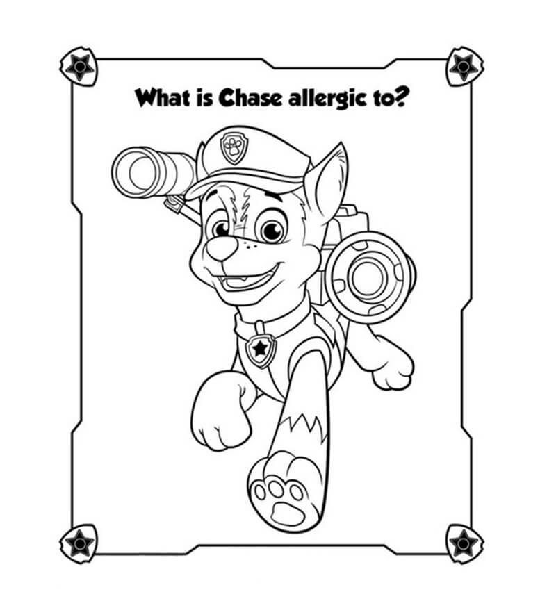 Chase Paw Patrol 15
