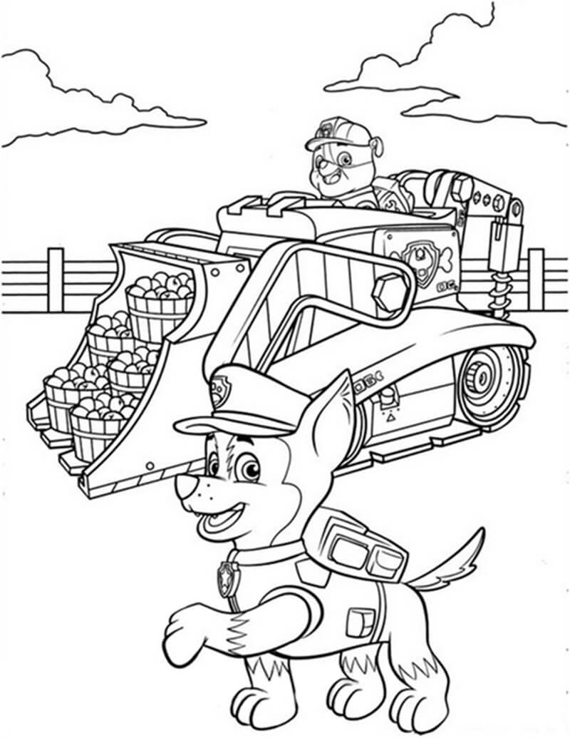 Chase Paw Patrol 16