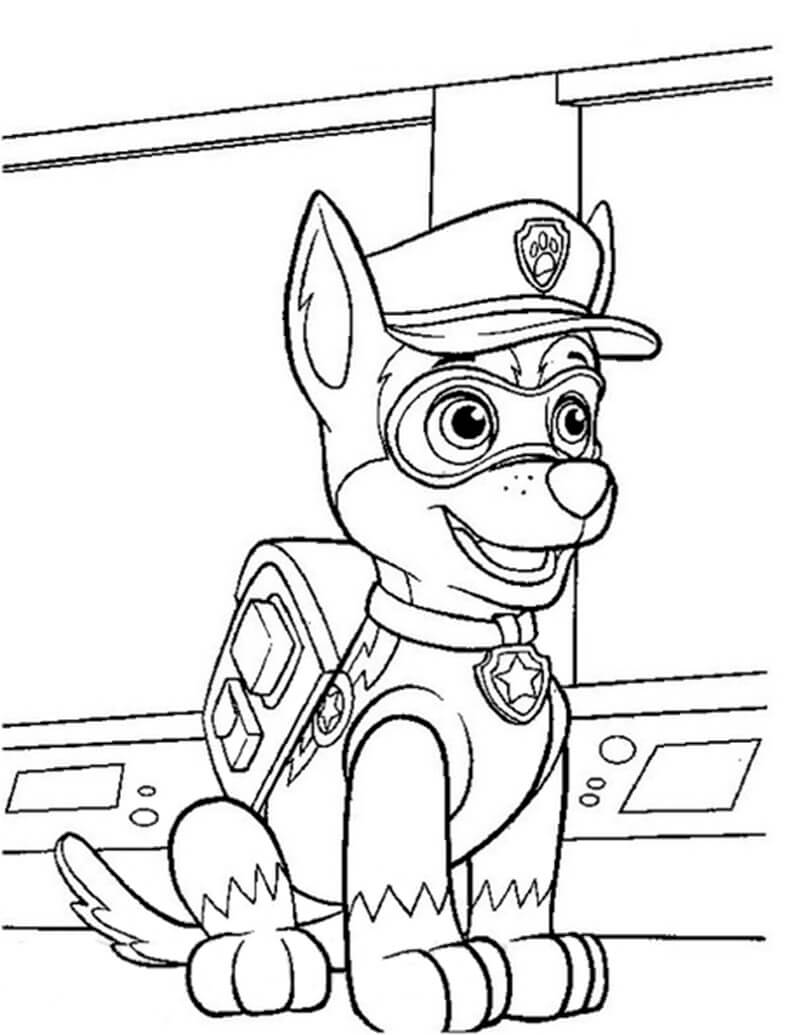 Chase Paw Patrol 17
