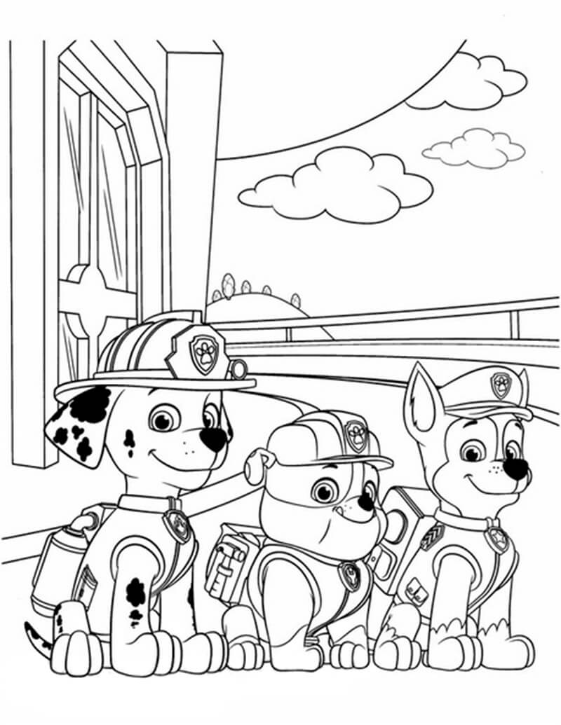 Chase Paw Patrol 20