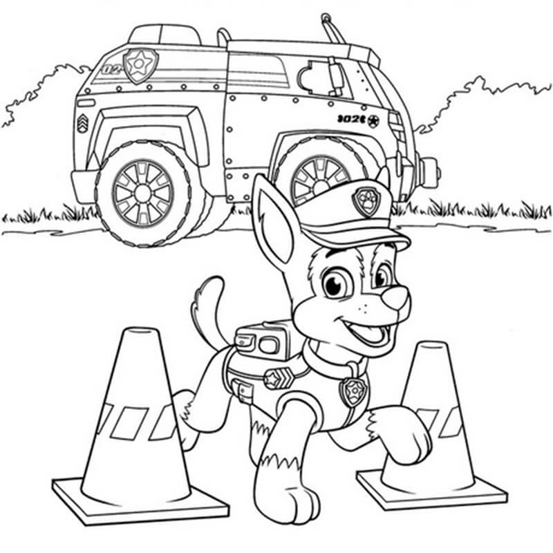 Chase Paw Patrol 3