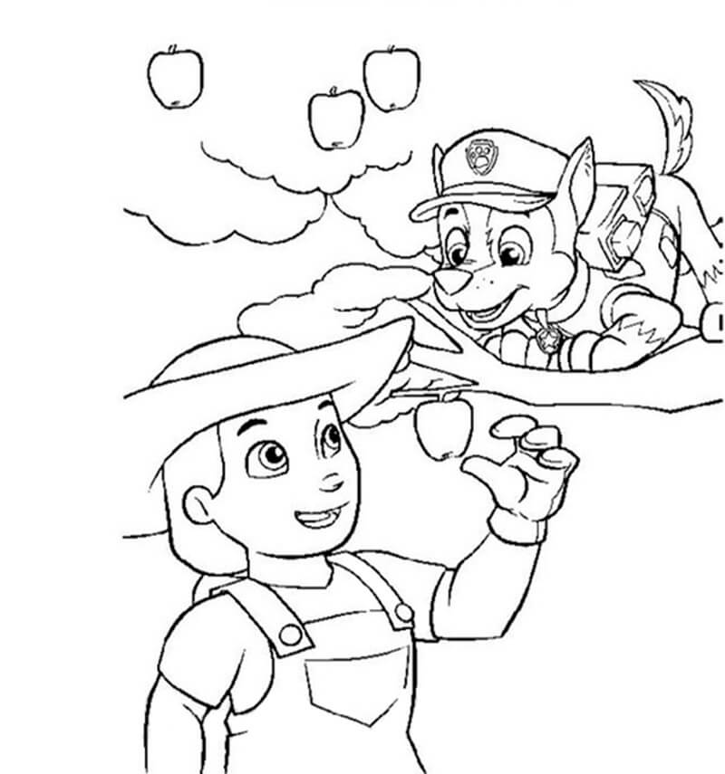 Chase Paw Patrol 30