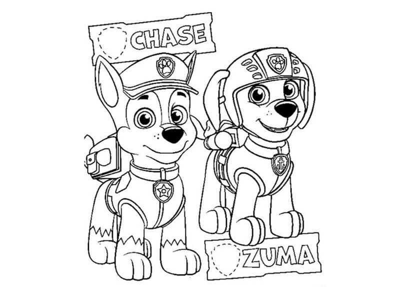 Chase Paw Patrol 35