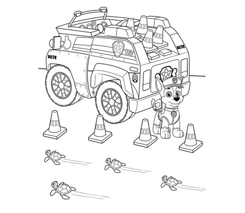 Chase Paw Patrol 37