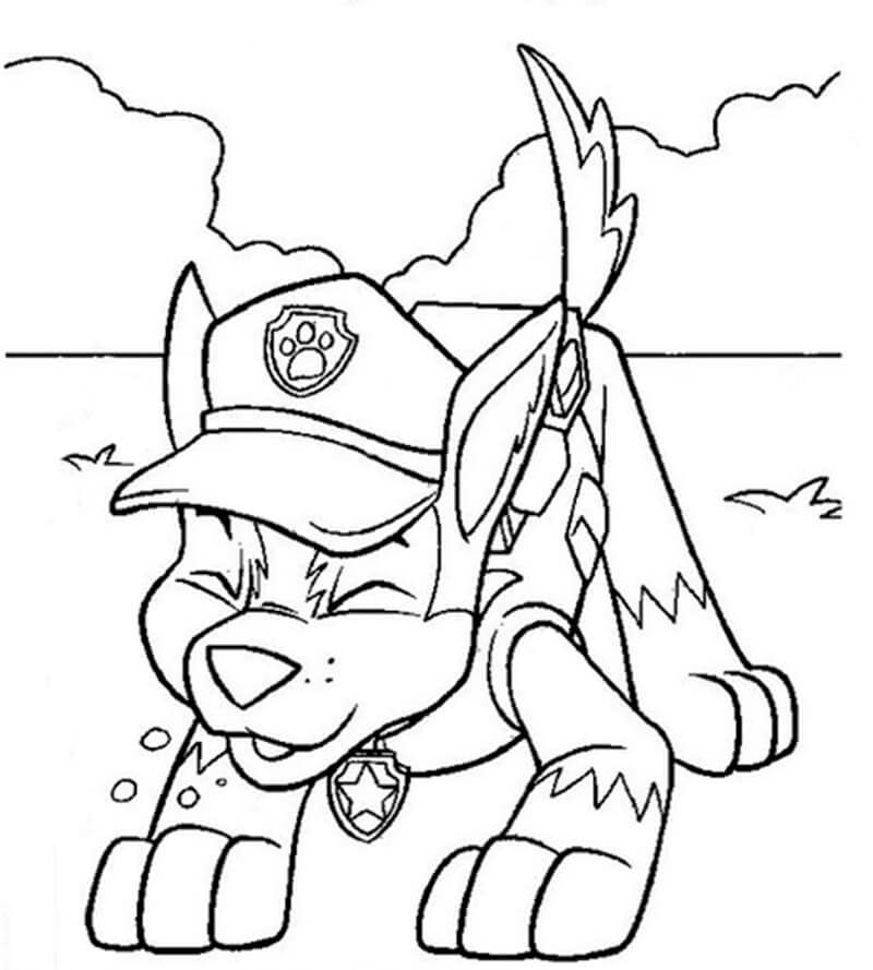 Chase Paw Patrol 38