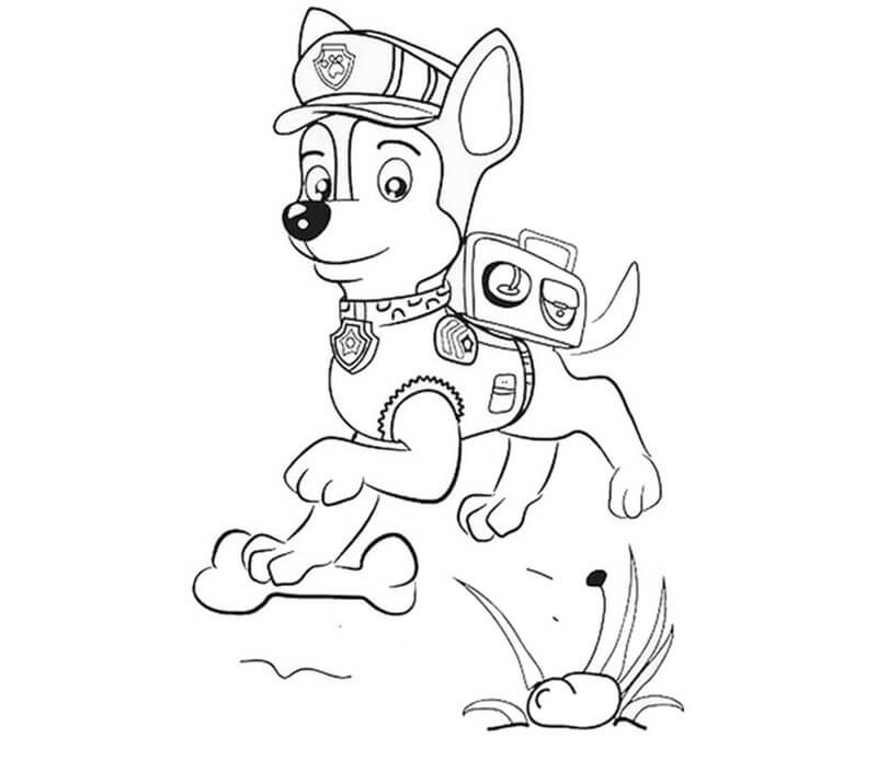 Chase Paw Patrol 5