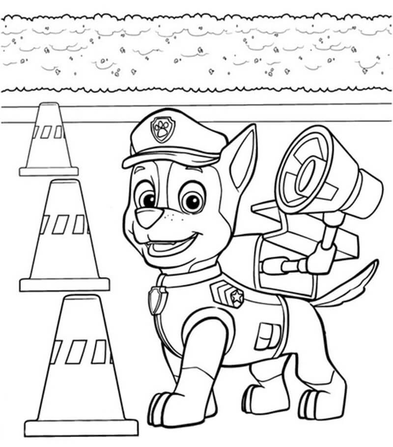 Chase Paw Patrol 6