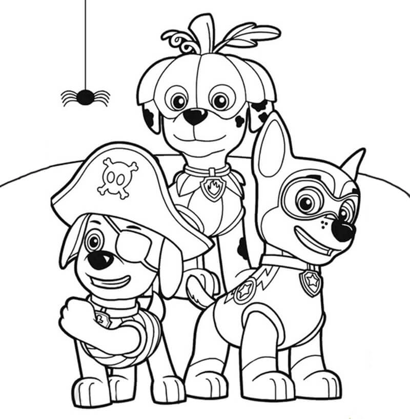 Chase Paw Patrol 8