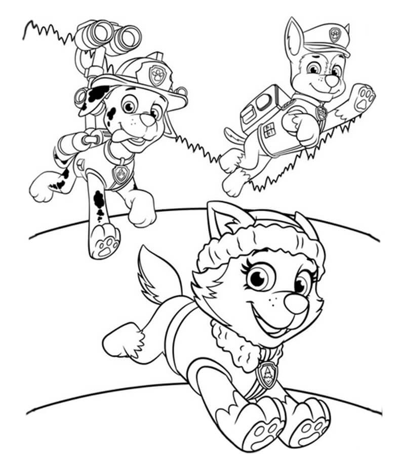 Chase Paw Patrol 9