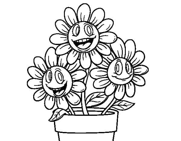 Cheerful Flower Pot