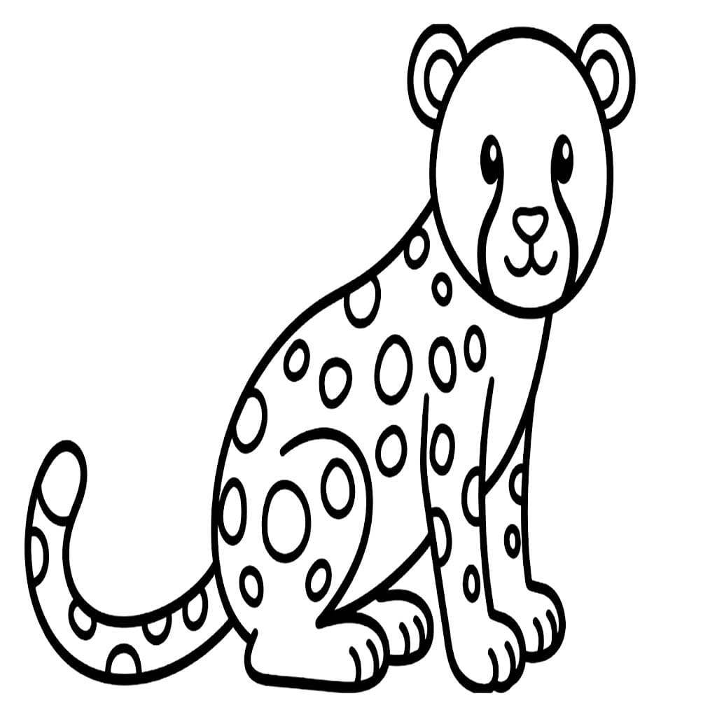 Cheetah Basic