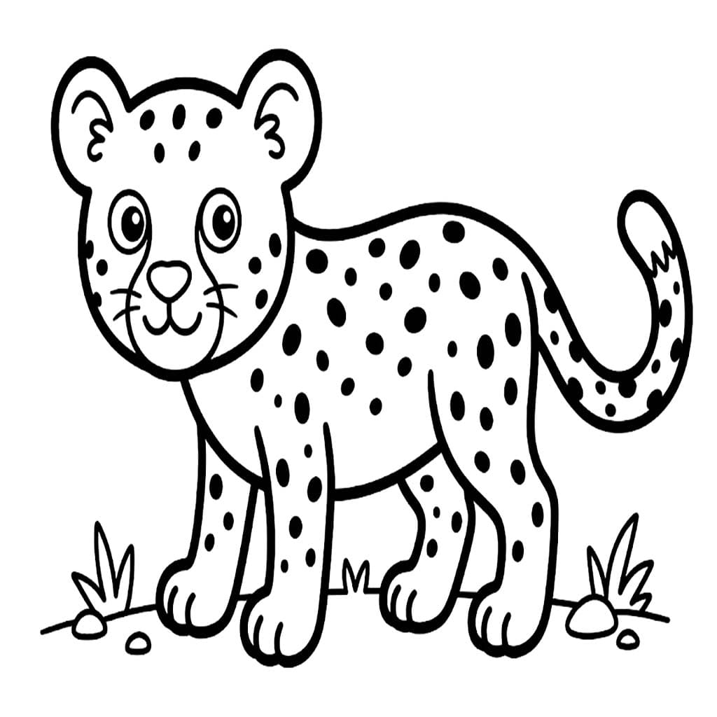 Cheetah Free Printable