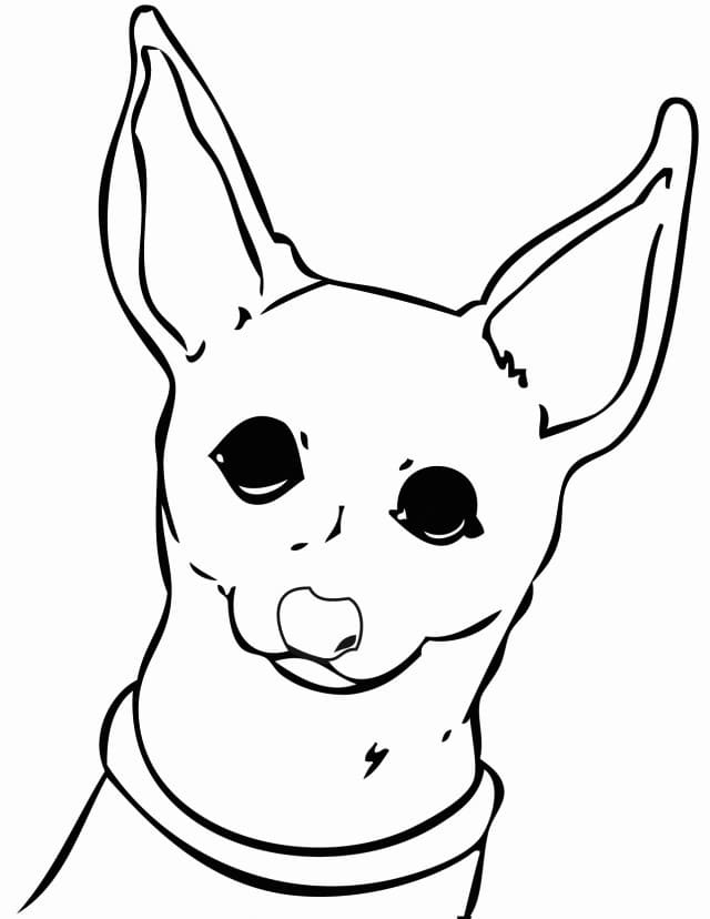 Chihuahua Face Coloring Game Chihuahua Face