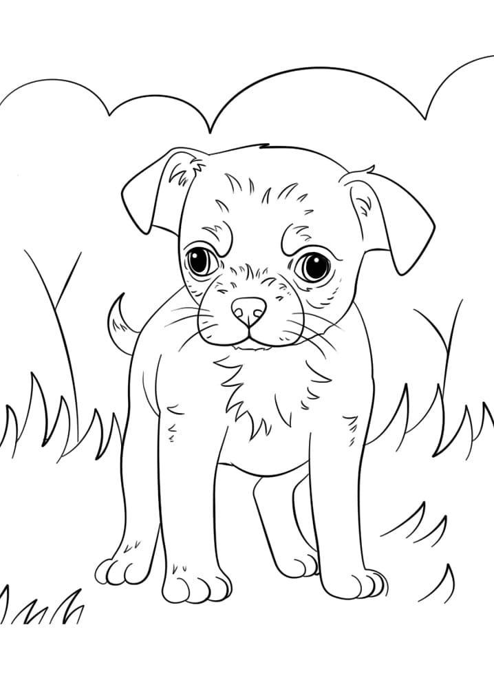 Chihuahua Puppy Coloring Game Chihuahua Puppy